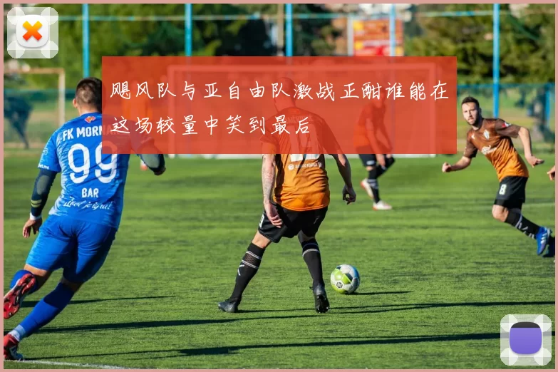 飓风队与亚自由队激战正酣谁能在这场较量中笑到最后