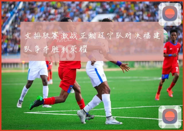 女排联赛激战正酣辽宁队对决福建队争夺胜利荣耀