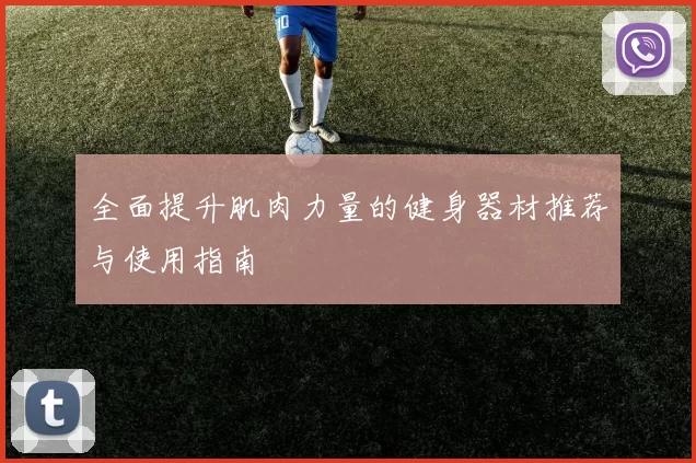 全面提升肌肉力量的健身器材推荐与使用指南